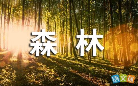 描寫樹林茂密的詩句古詩大全