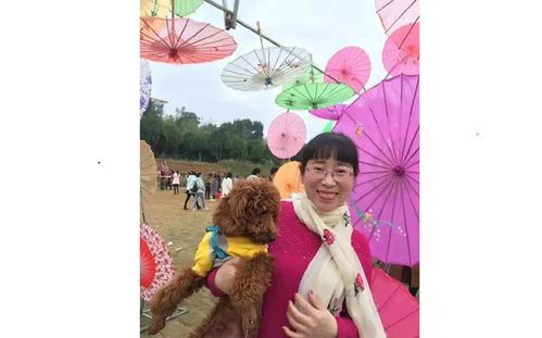 關(guān)于《天仙配》的詩句