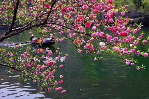 詠柳描寫春天的詩句是什么,描寫春天的詩句是什么請(qǐng)告訴我,春曉描寫春天的詩句是什么