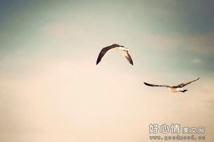公司展望未來的古詩句