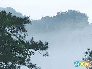 詩句,資料