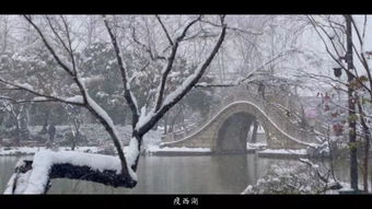 古詩中帶揚(yáng)州雪的詩句