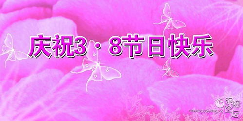 關于才藝比拼的詩句