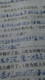 關(guān)于寫花的比喻古詩(shī)句