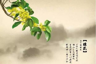 關(guān)于桂花的詩(shī)句作者