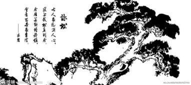 寫關(guān)于松的詩(shī)句古詩(shī)詞