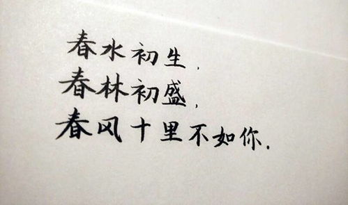 詩句,十里,春風(fēng)