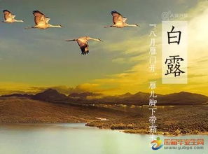 關(guān)于白露的詩(shī)句節(jié)氣