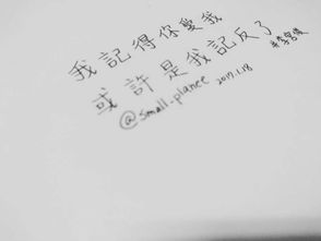海子關(guān)于親情的詩句