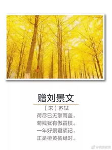 名句,古詩,詩句,豐收