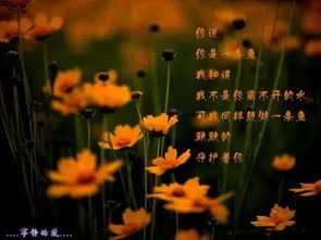 徐志摩關(guān)于海菜花的詩句
