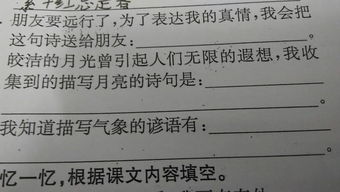 關(guān)于真心對待朋友的詩句