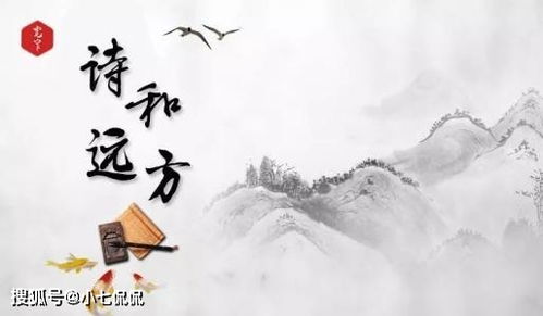 寫自己兒子的詩句,寫自己老了的詩句,寫自己生日的詩句