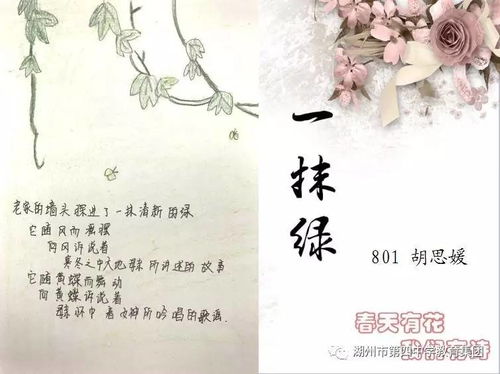 關(guān)于春天玫瑰的詩句
