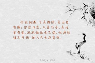 表達(dá)相識是注定緣分的古詩句