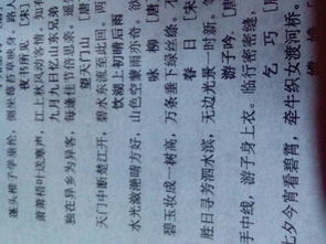 帶有雨字的詩句古詩大全