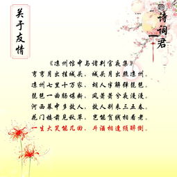 寫關于友情的詩句古詩大全