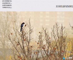 關于傷悲的詩句古詩