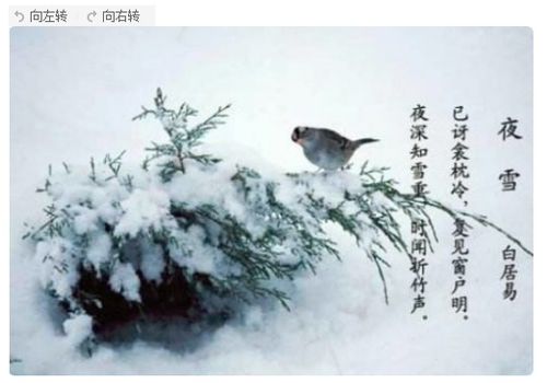 關(guān)于小學(xué)永雪的詩(shī)句