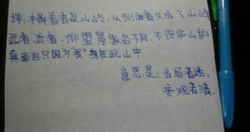 古詩句的意思是什么意思是什么