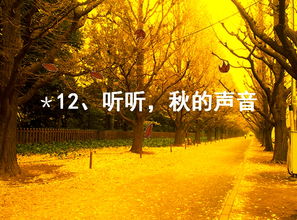 關(guān)于秋天落日的詩句