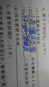 搞不懂的古詩句子