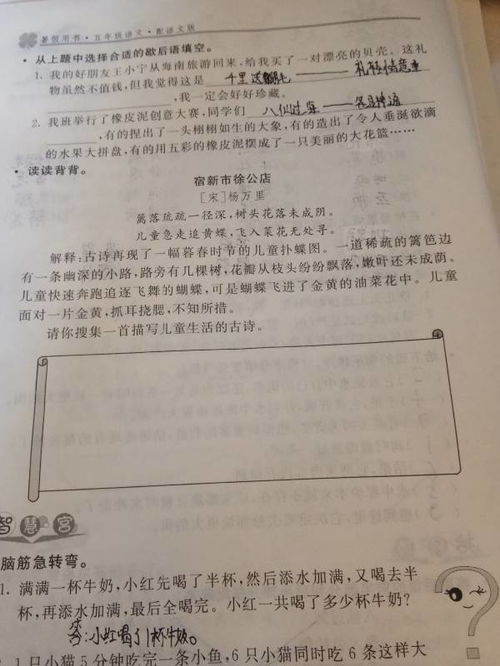 描寫(xiě)兒童生活的古詩(shī)句子