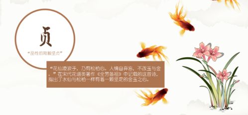 水仙的古詩句