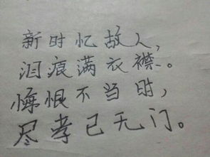 關(guān)于理由的詩句
