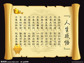 詩句,感悟
