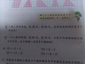 關(guān)于夏天的詩(shī)句自創(chuàng)句,描寫(xiě)夏天的詩(shī)句古詩(shī)句,夏天的詩(shī)句有多少句