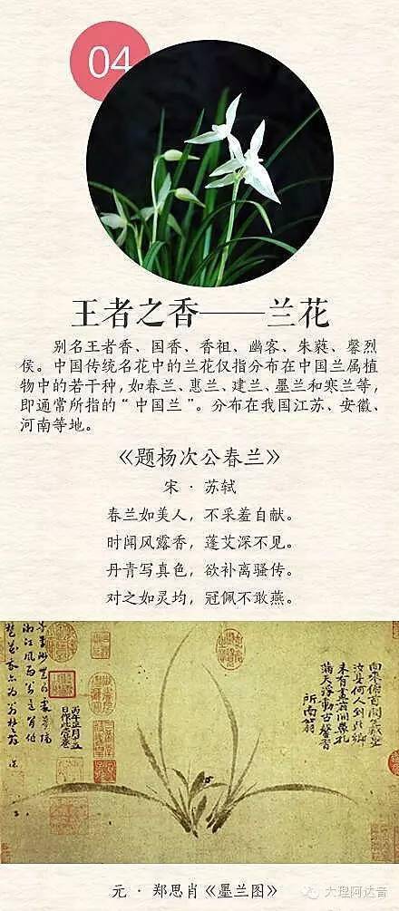 古詩中含花的詩句,古詩中的花詩句有哪些,花的詩句古詩