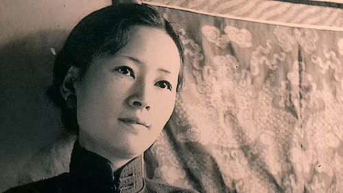 詩句,林徽因