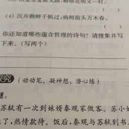 詩(shī)中含有哲理的詩(shī)句,富含哲理的詩(shī)句摘抄,蘊(yùn)含哲理的詩(shī)句摘抄