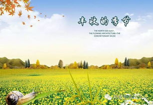 關(guān)于農(nóng)業(yè)的詩(shī)句有