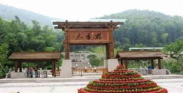 關(guān)于大香林的詩句