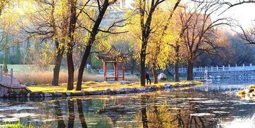 關(guān)于初冬的詩句詞牌名