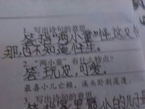 詩句,寫出,連續(xù)