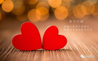 以物表達(dá)思念的古詩句