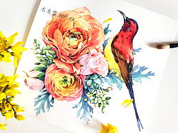 描寫鳥的古詩句大全,描寫梅花的古詩句大全,古詩句大全摘抄大全