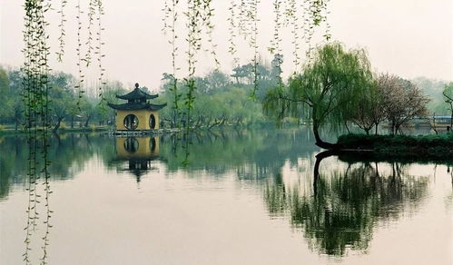 蘇軾關于美景的詩句有哪些
