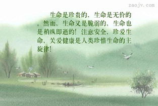 關于生命可貴的古詩句
