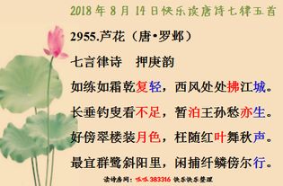 關于月的詩句古詩歡樂
