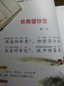 關(guān)于解悶的詩句