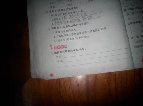 一血.關于母親的詩句和詞語.