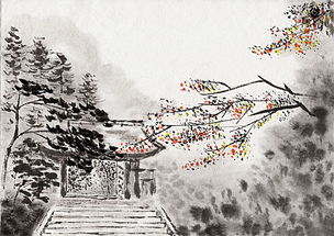 古詩,詩句,描寫,白樺樹