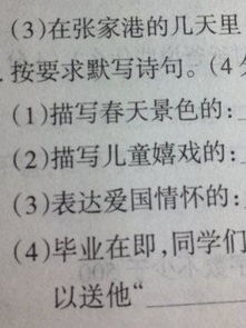 八寫愛國(guó)情懷的古詩(shī)句
