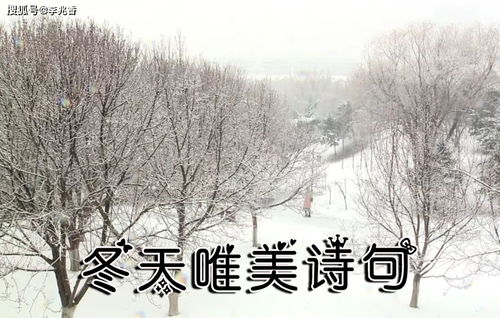 古詩詞,詩句,景色,冬天