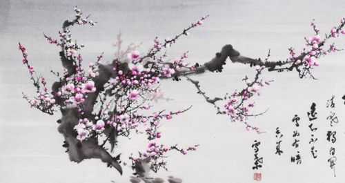 有關(guān)冬梅的古詩句