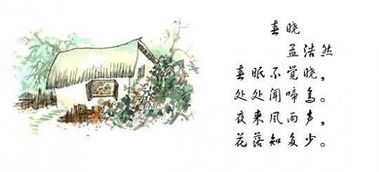 描寫風(fēng)雨的詩句古詩,關(guān)于花月的詩句古詩,有風(fēng)雨的詩句古詩